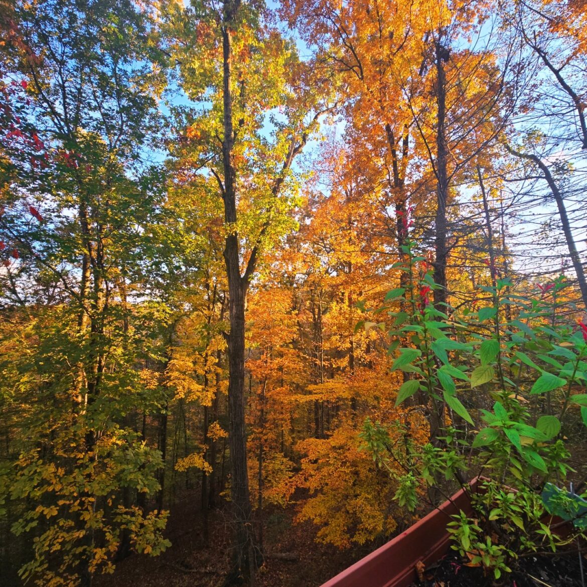 It’s a Wrap…2025 in Review